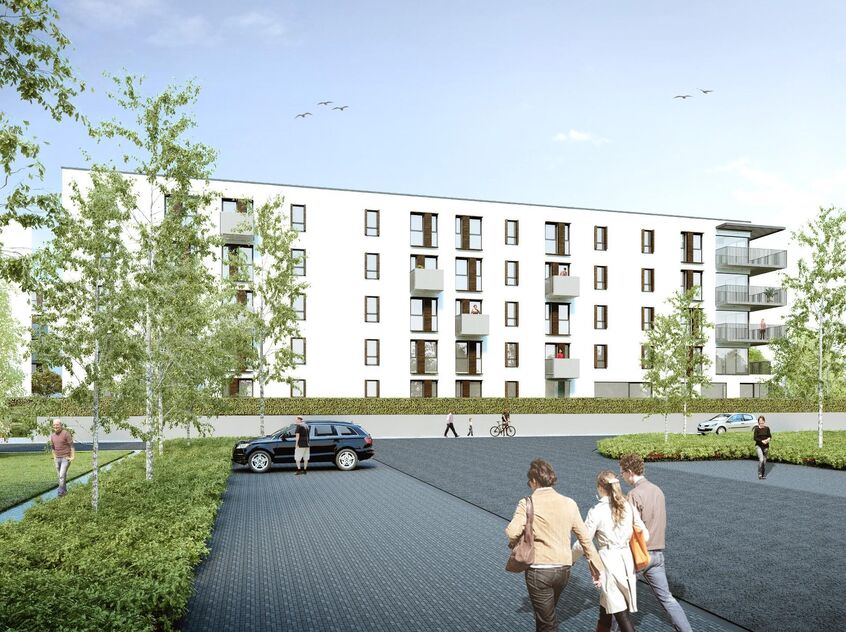 Project 'Rundskop' in Beringen Koersel